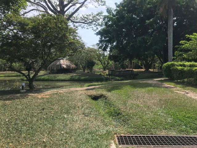 place photo 30