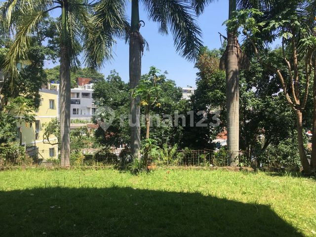 place photo 20
