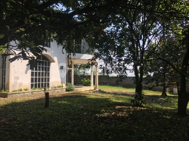 place photo 27