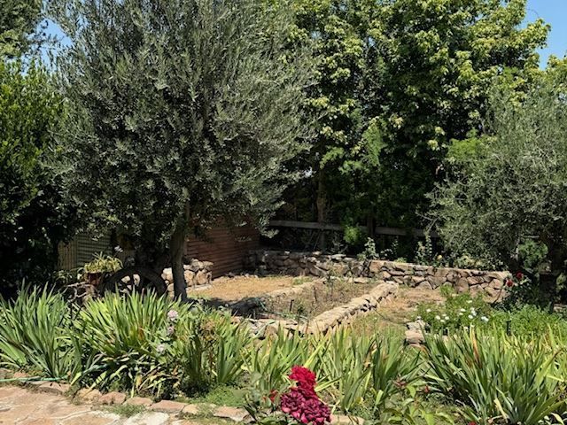 place photo 54