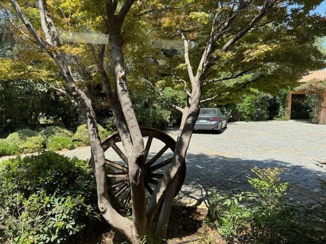 place photo 32