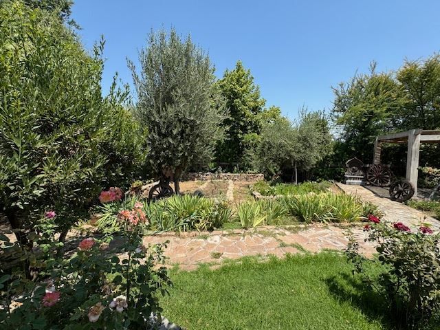 place photo 52