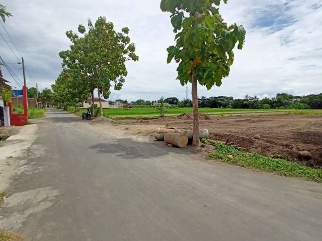 place photo 6