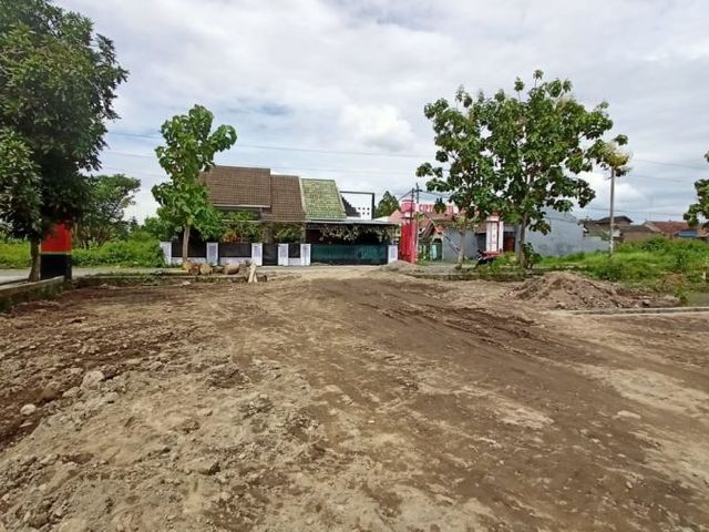 place photo 5