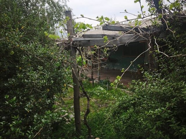 place photo 34