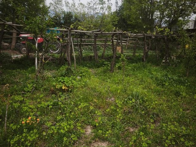 place photo 32