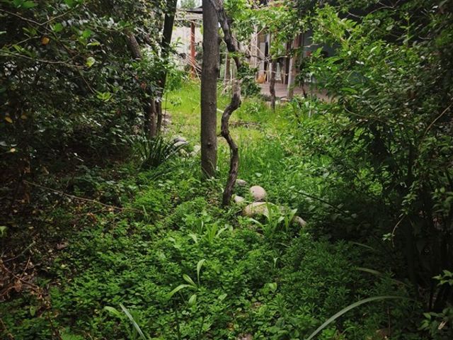 place photo 35