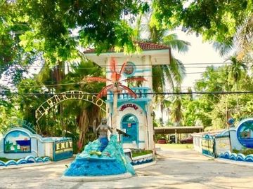place photo 23