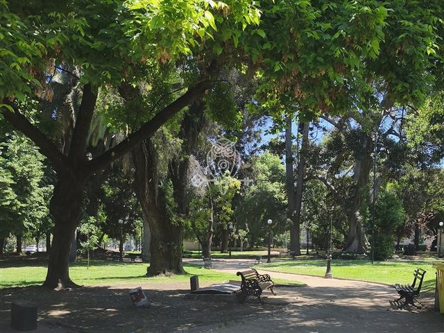 place photo 20