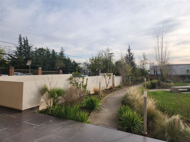 place photo 46