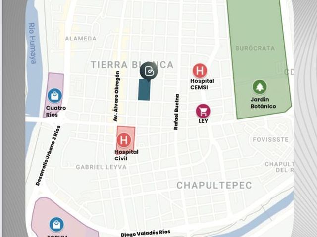 place photo 11