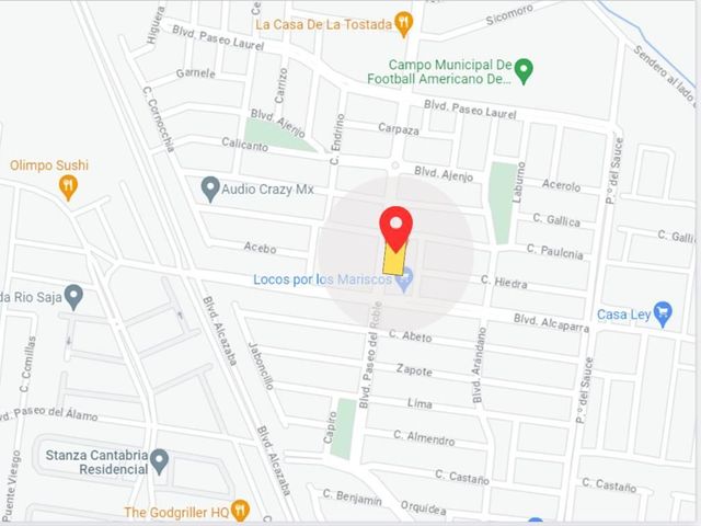 place photo 5