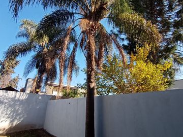 place photo 45