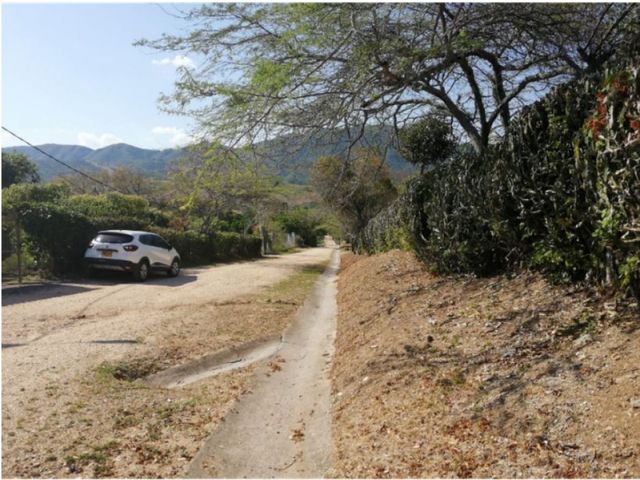 place photo 23