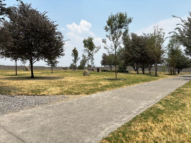 place photo 36