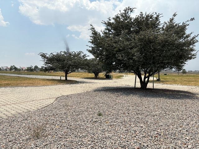 place photo 43
