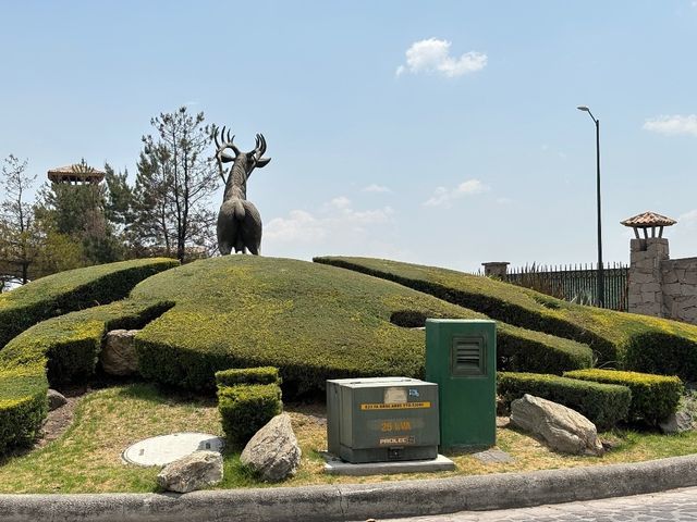 place photo 40