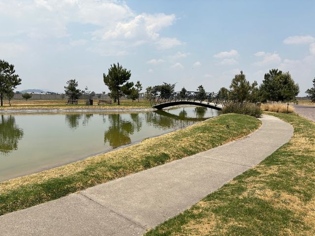 place photo 34