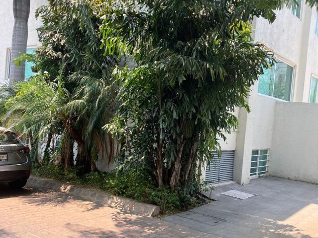 place photo 24