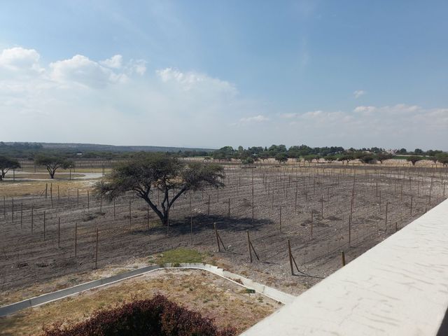 place photo 47