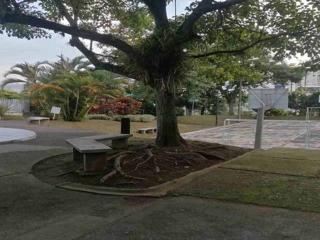 place photo 19