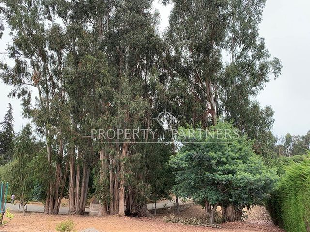 place photo 41