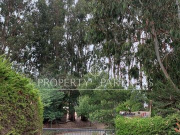 place photo 45