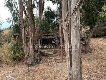 place photo 42