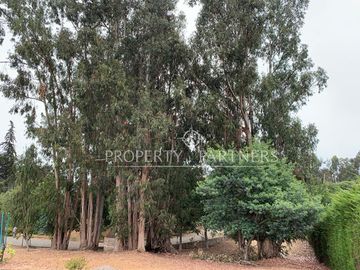 place photo 41