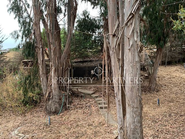 place photo 42