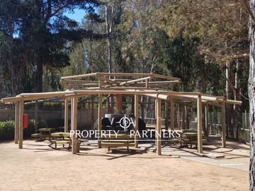 place photo 23