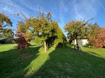 place photo 21