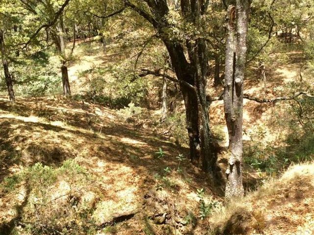 place photo 51