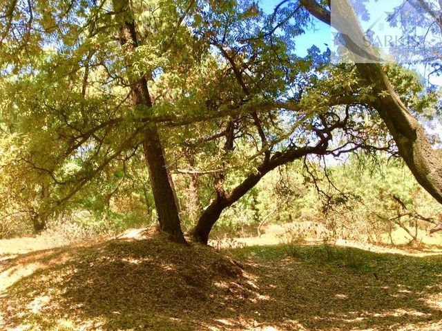 place photo 67