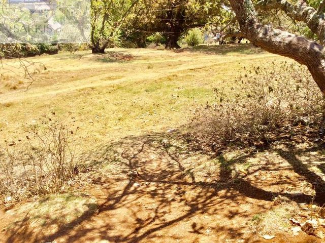 place photo 74