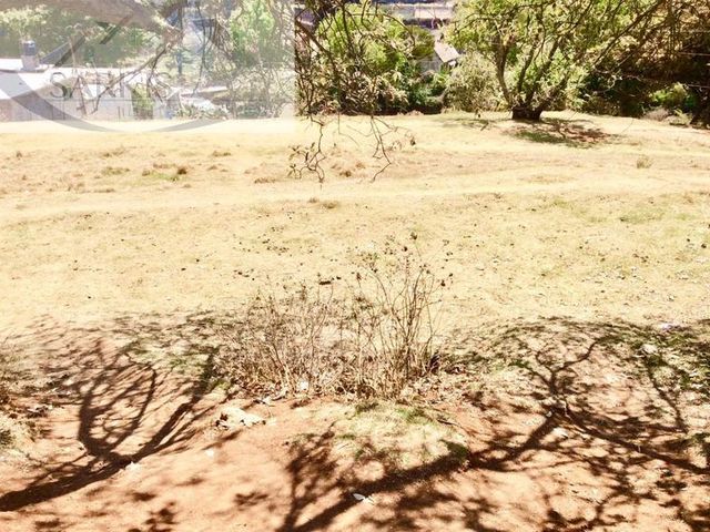 place photo 75