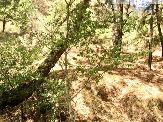 place photo 48