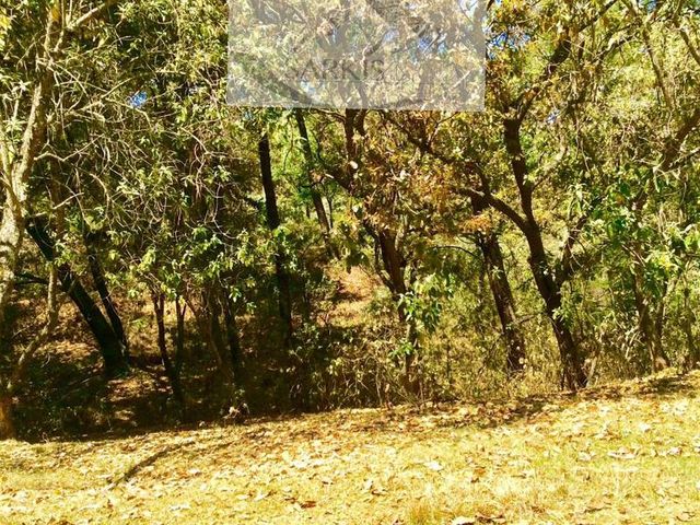 place photo 69