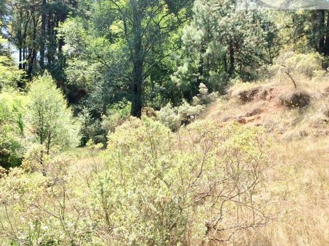 place photo 50