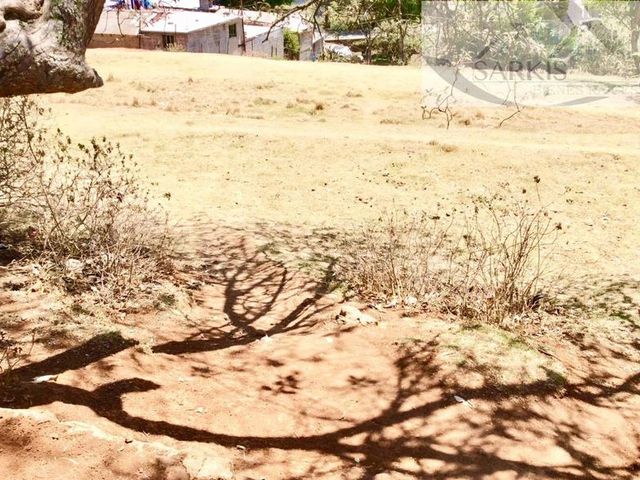 place photo 71