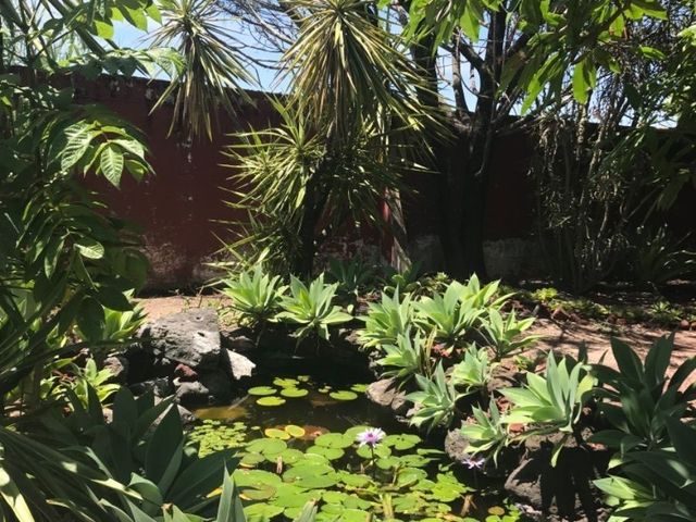 place photo 28