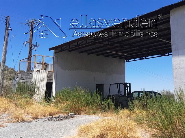 place photo 16