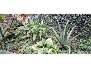 place photo 30