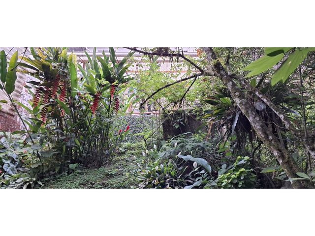place photo 36