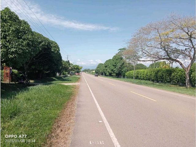 place photo 23