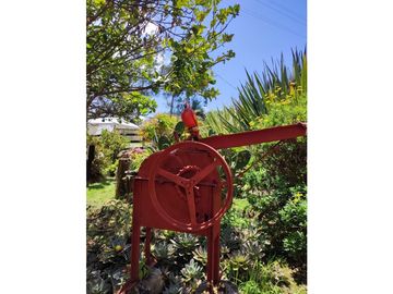 place photo 34
