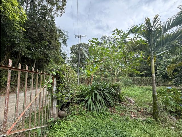 place photo 47