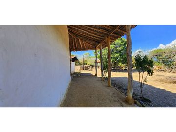 place photo 39