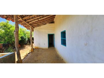 place photo 37