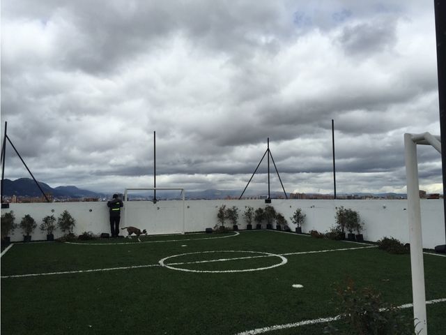 place photo 11